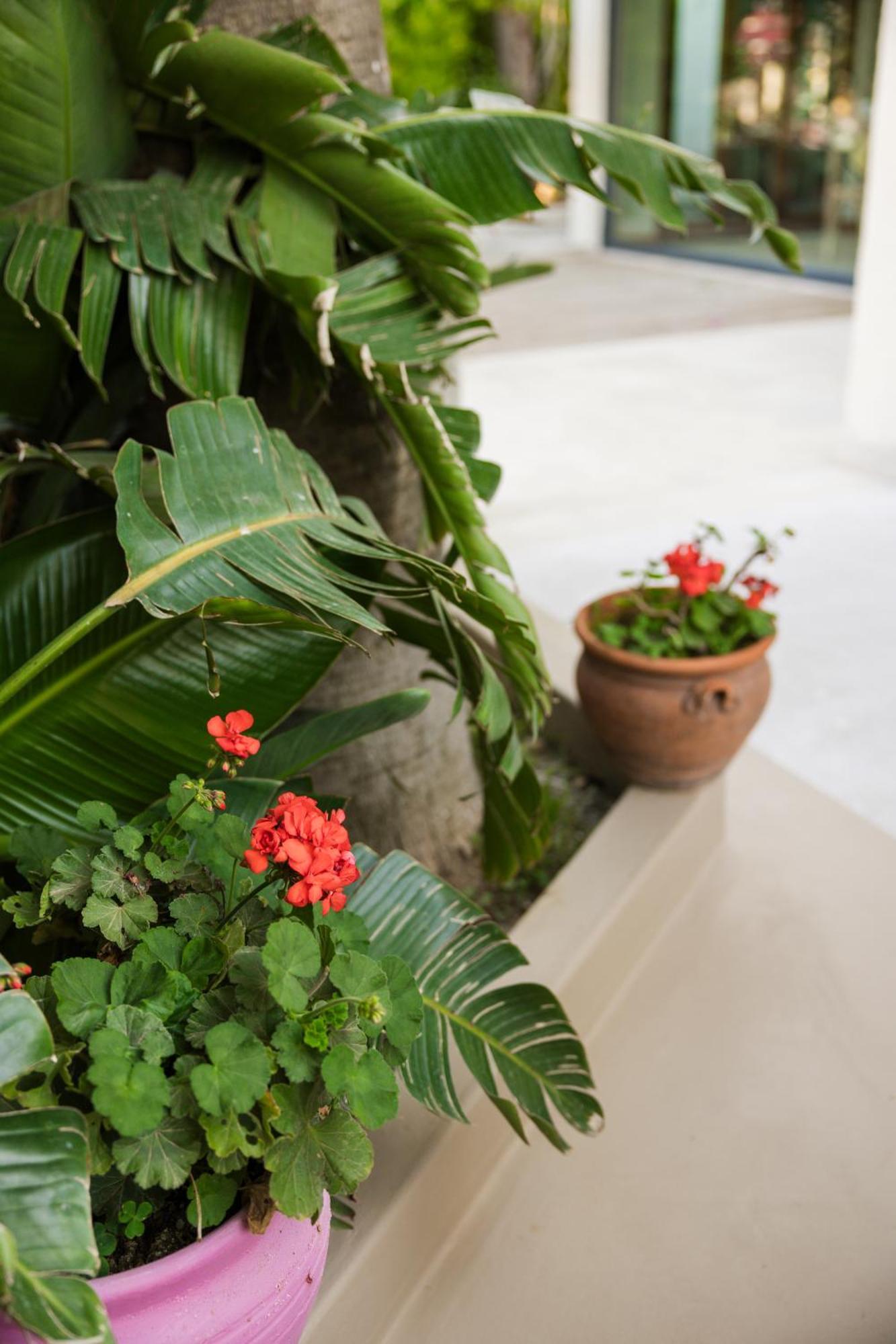 Bitez Corner Boutique Hotel Bagian luar foto